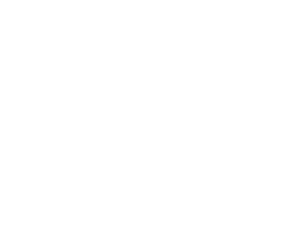 logo-BDS.png