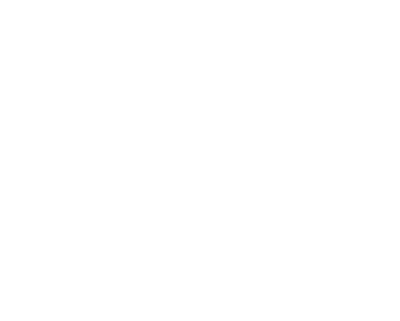op3.png