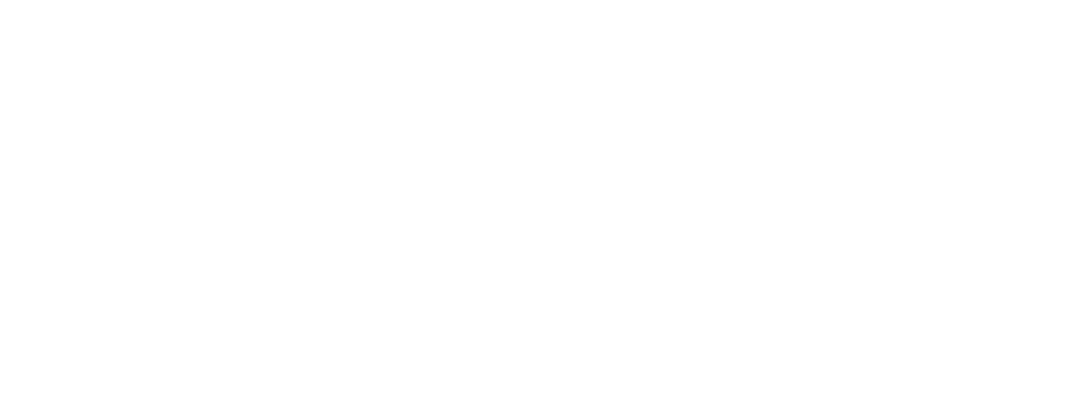 spaziolins-1.png