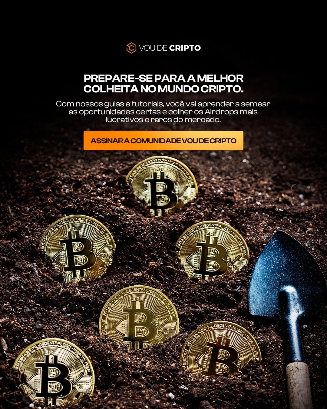 WhatsApp Image 2024-10-23 at 03.03.24 (1)